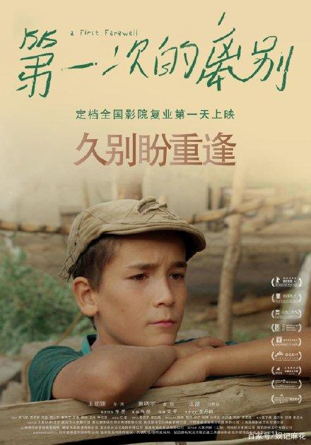不要学历可以考的证书